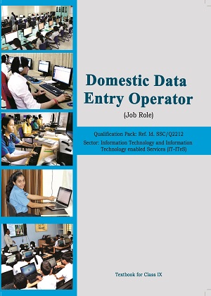 Domestic Data Entry Operator Class 9 PDF