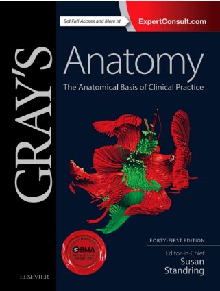 Gray's Anatomy 41st Edition PDF Free Download